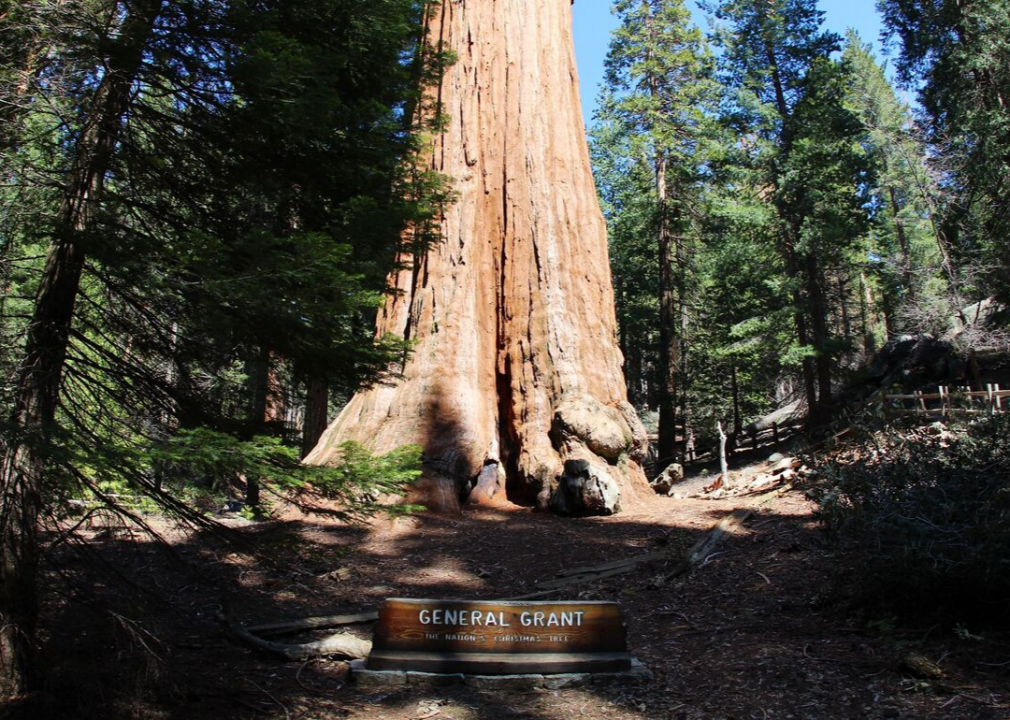 #35. Kings Canyon: See General Grant